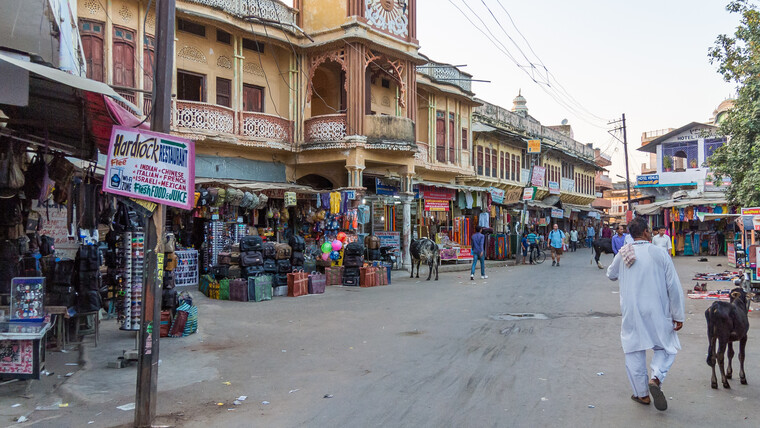 India 2014 - Pushkar 022.jpg